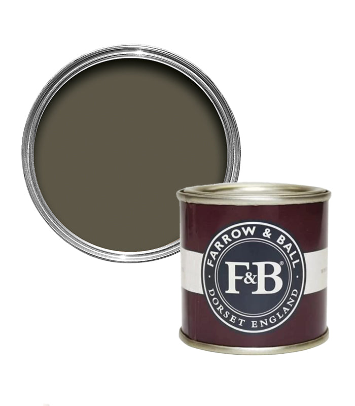 Farrow and Ball 100ml Sample Pot - Reduced Green No.313
