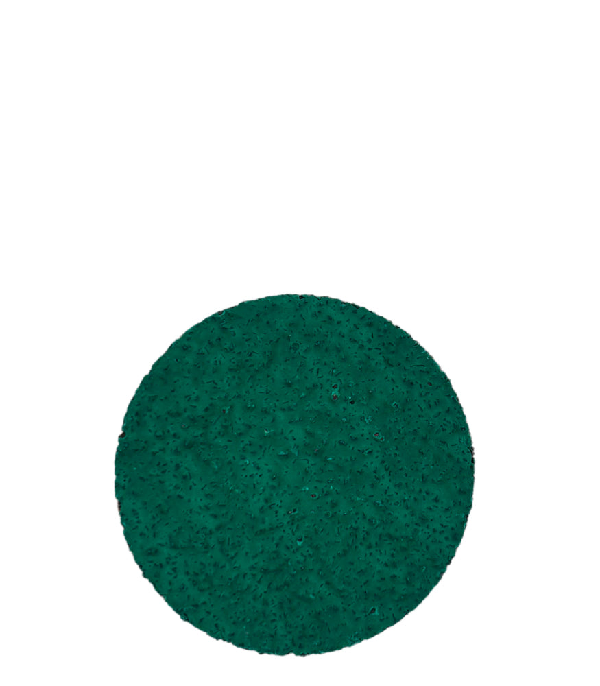 Repair Care Sanding Disc 36 grit