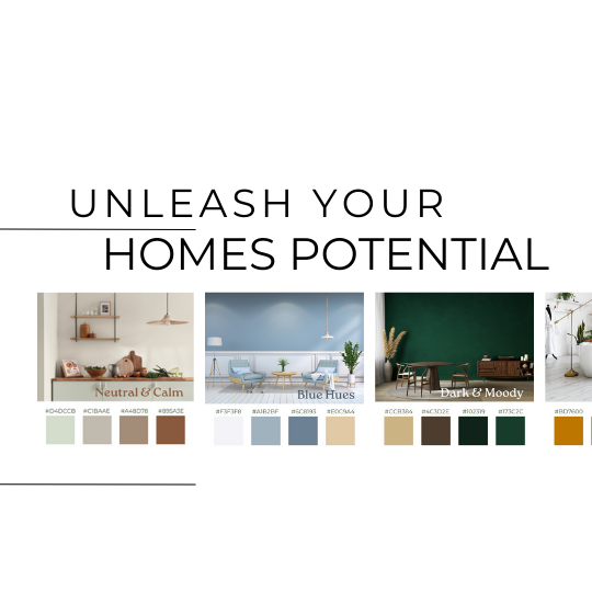 Unleash Your Homes Potential- Colour Schemes