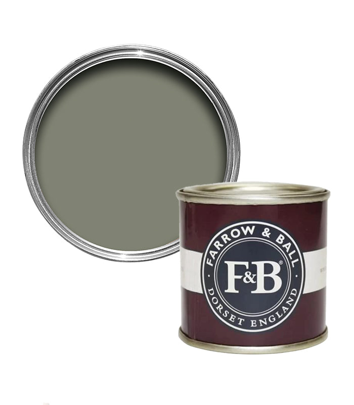 Farrow and Ball 100ml Sample Pot  - Treron No.292