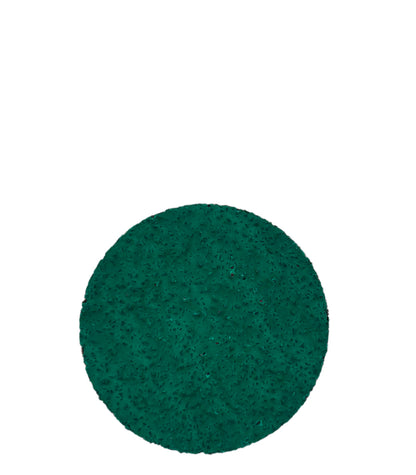 Repair Care Sanding Disc 36 grit