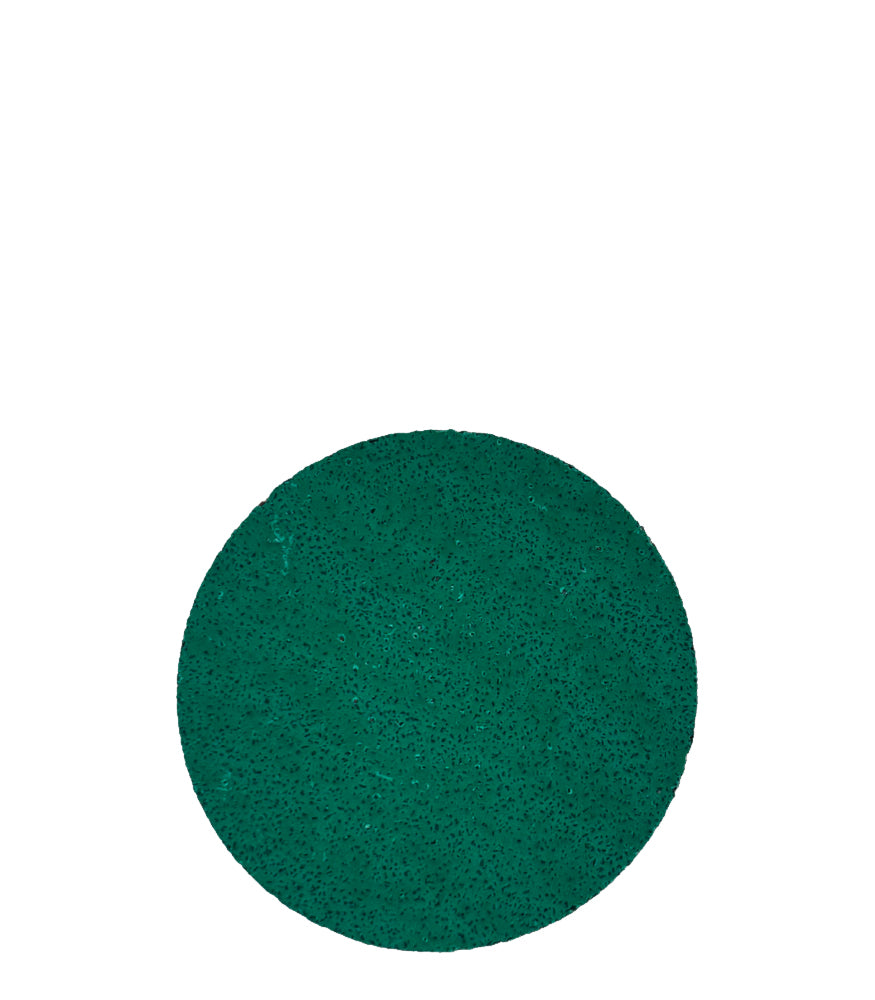 Repair Care Sanding Disc 60 grit