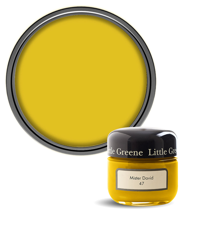 Little Greene Absolute Matt Emulsion Sample Pot - Mister David 47 - 60ml