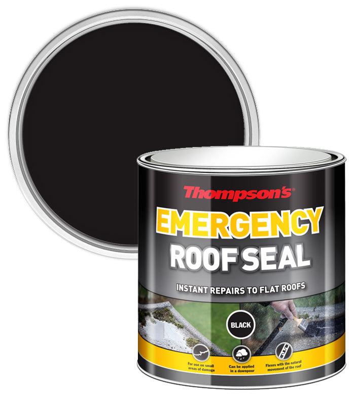 Thompsons Emergancy Roof Seal - Black - 2.5L
