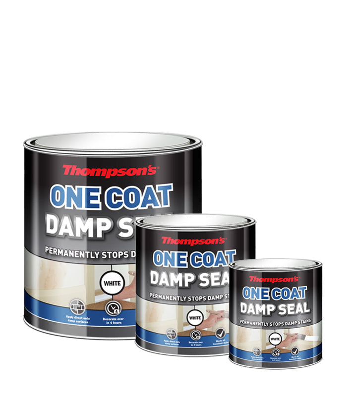 Thompsons One Coat Damp Seal - All Sizes